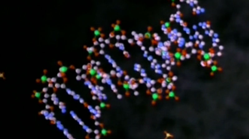 A microbe DNA with green balls of arsenic is seen in this undated photo.