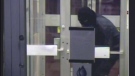 A masked man is seen moments before the RBC branch in the Glebe is set on fire, May 18, 2010.