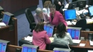 Coun. Janet Davis (Ward 31, Beaches-East York; facing camera) was one of about 10 councillors to wear pink on Wednesday, Dec. 8, 2010
