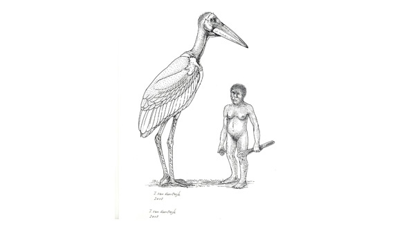 In this undated sketch by Inge van Noortwijk and released by John Wiley & Sons, a six-foot-tall giant stork stands next to a dwarf Homo floresiensis that had lived on the remote island of Flores in Indonesia.(AP Photo/John Wiley & Sons, Inge van Noortwijk)
