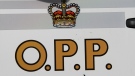 The Essex County Ontario Provincial Police logo as seen on this police cruiser on Monday, Jan. 7, 2013. (Melanie Borrelli / CTV Windsor)  