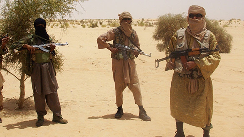 Rebels gain control in Mali