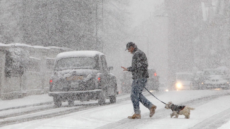 A pedestrian walks a dog during a snow-fall in central London, Saturday, Dec., 18, 2010. (AP / Alastair Grant)