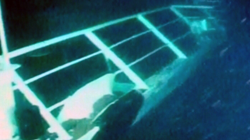 Passenger Chokes Up At B C Ferry Sinking Trial Ctv News