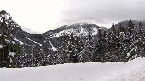North Vancouver's Mt. Seymour has been the recipient of large amounts of snow. Dec. 21, 2010. (CTV)