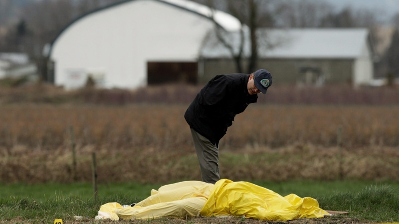 A police homicide investigator looks over a body covered with a tarp found behind a produce store in a rural area of Abbotsford, B.C., on Tuesday March 31, 2009. (Darryl Dyck / THE CANADIAN PRESS)