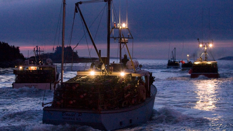 Nova Scotia fishery should focus on sustainability