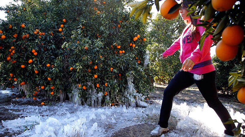 Produce prices rise due to California cold