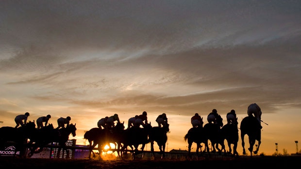Thoroughbreds break from the gate at Woodbine Racetrack in Toronto on Sunday, Dec. 16, 2012. (The Canadian Press/HO, Michael Burns)