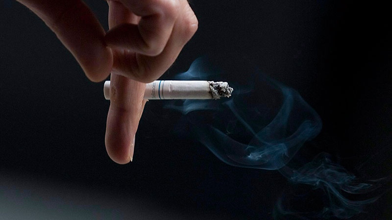 Smoking pack of cigarettes causes causes an average of 150 mutations a year