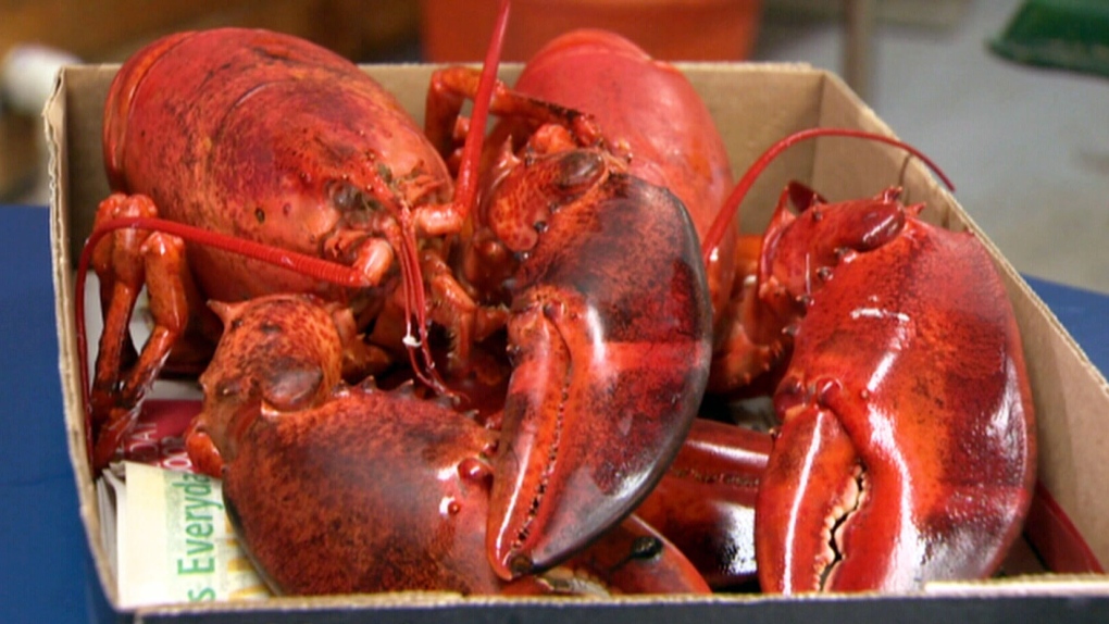 CTV National News: Lobster season's low prices