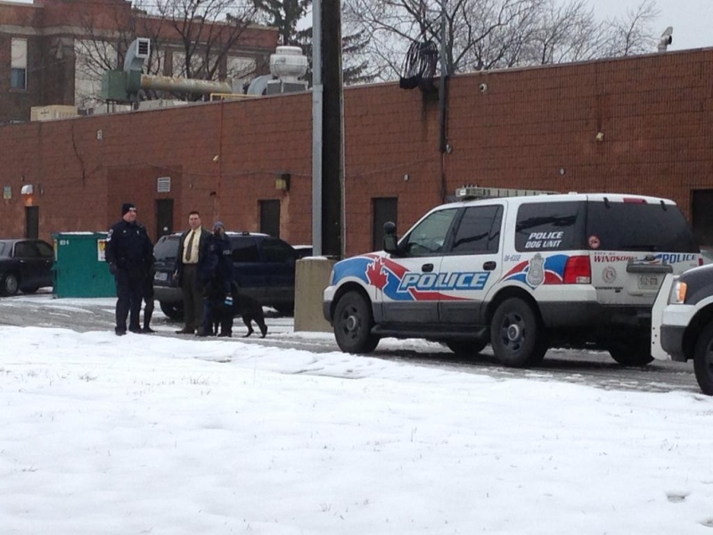 Windsor police officers and the canine unit investigate a robbery outside The Lumberjack Restaurant in Windsor, Ont., Jan. 28, 2013. (MIchelle Maluske / CTV Windsor) 