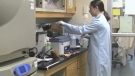 An image is seen from the Basic Science episode of the new 'Bench to Bedside' YouTube series by the Elgin-Middlesex Unit of the Canadian Cancer Society.