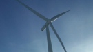 Manitoba's $345 million wind farm began production near St. Paul, 100 kilometres south of Winnipeg, on Tuesday.  It will eventually produce enough energy to power 50,000 homes.