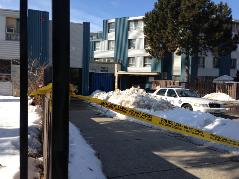 Toronto police at the scene off the shooting at 40 Turf Grass Way on Tuesday, Feb. 12, 2013. (CTV/ Corey Baird)