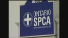 Grey and Bruce counties losing OSPCA