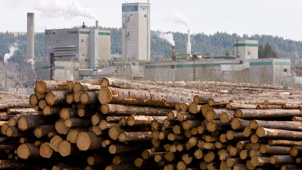 B.C. lumber gains ground in China