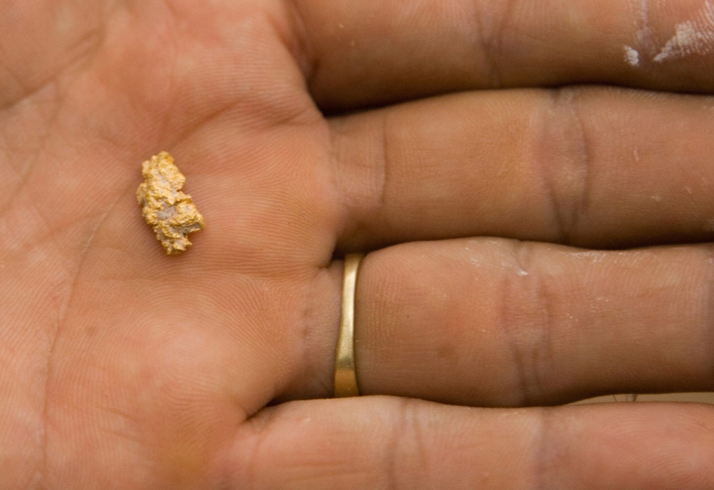 Feb. 1, 2007 file photo of a gold nugget.