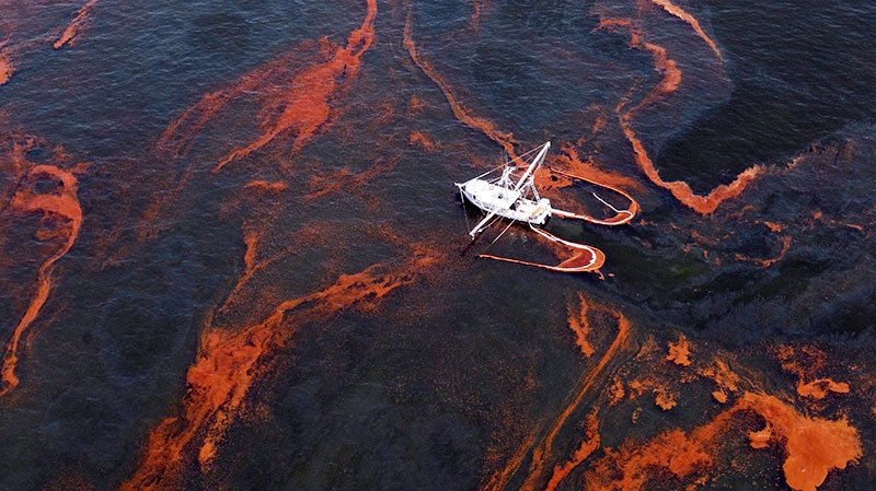 BP oil spill 