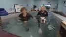 Regional Contact: Canine Water Wellness - Jennifer Donaldson and Lianne Zitzelsberger