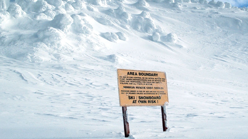 Lost skiers rescued in B.C.