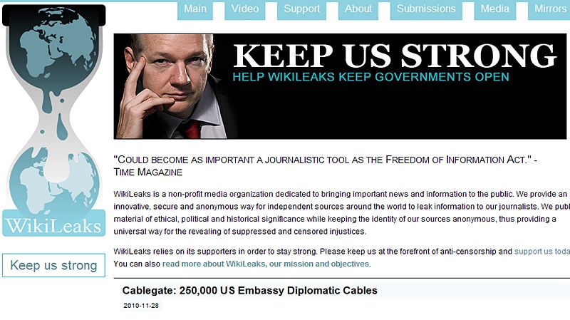 An image taken from the WikiLeaks website is shown.