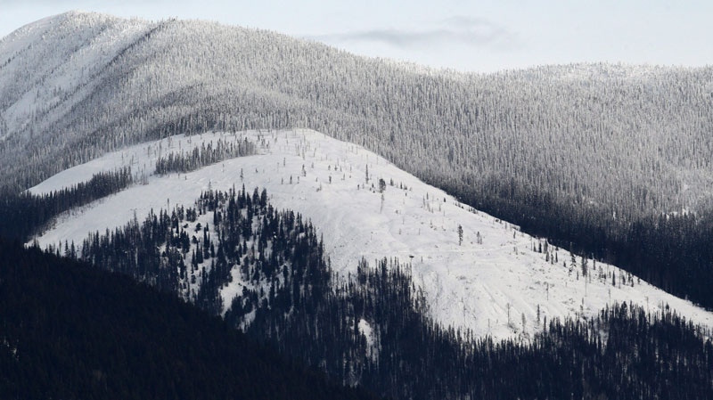 Kokanee Glacier is pictured north of Nelson, B.C., on Tuesday January 18, 2011. (Darryl Dyck / THE CANADIAN PRESS)
