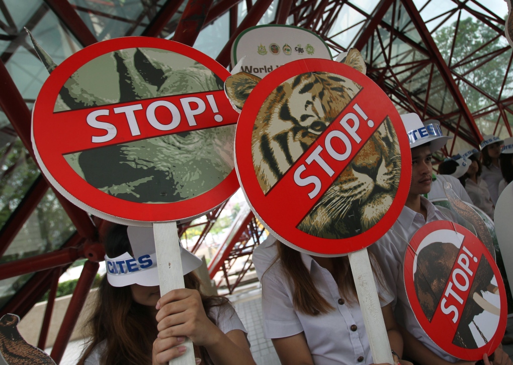 UN calls for clamp down on illegal wildlife trade 
