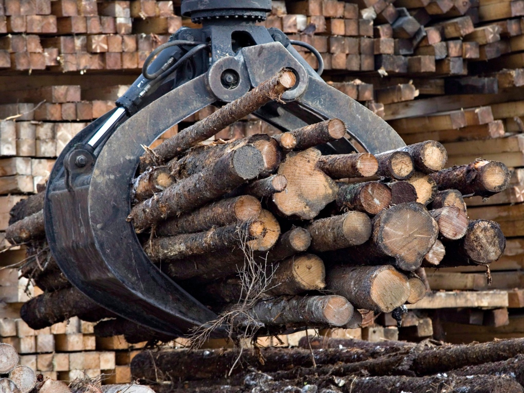Canadian lumber producers say higher demand in China, U.S. should boost prices