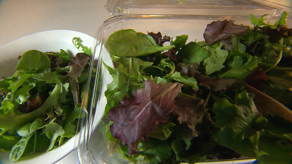 Parasites found in pre-washed packages of lettuce