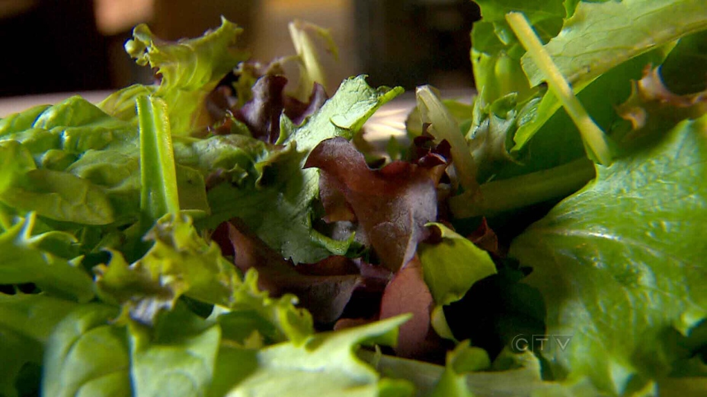 CTV National News: Parasites in lettuce
