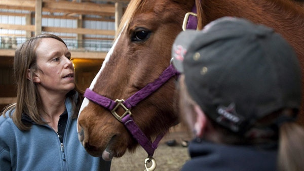 Equine Facilitated Counsellor Sue McIntosh works with a client and a horse at the Healing Hooves facility near Cremona, Alta., Monday, Jan. 24, 2011. Equine Assisted Counseling pairs horses with people to overcome emotional issues, conditions and physical trauma. THE CANADIAN PRESS/Jeff McIntosh