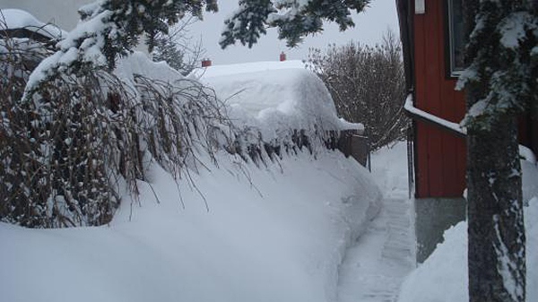 A MyNews contributor snaps this photo of heavy snowfall in Winnipeg on Friday, Jan. 28, 2011. (Sheralee Boux / MyNews)