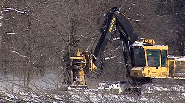 Heavy machinery takes down trees at the South March Highlands in Kanata, Monday, Jan. 31, 2011.