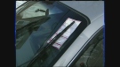 CTV Montreal: How to fight parking tickets