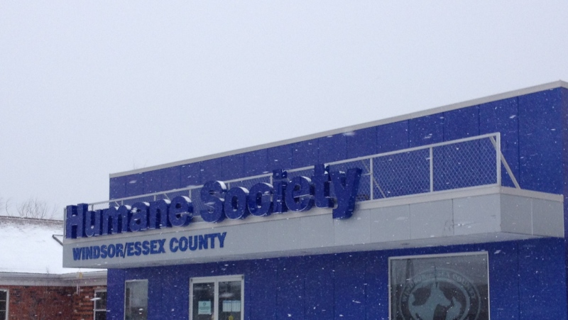 The Windsor/Essex County Humane Society is shown in this file photo in Windsor, Ont., on Jan. 21, 2013. (Gina Chung / CTV Windsor)