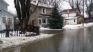 Water from the thaw and rain flooded Old George St. in Osgoode.