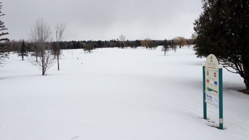This time last year Pine View Municipal golf course was thriving with activity. This year, it's not even close to being open.
