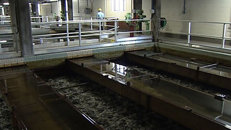 Lemieux Island Water Purification Plant