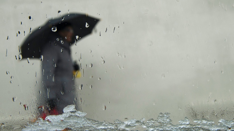 A pedestrian walks with an umbrella in the rain. (THE CANADIAN PRESS)