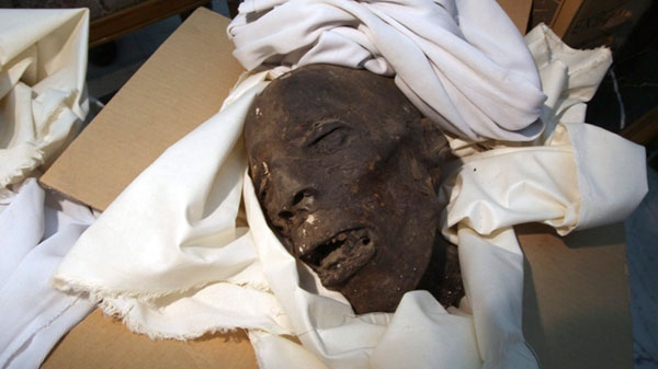 This undated photo provided Monday Feb.7, 2011 by the Egyptian Museum shows a damaged skull of the Late Period, in Cairo, Egypt. (AP / Sandro Vannini, Egyptian Museum)