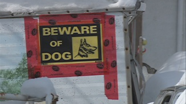 "Beware of dog" signs were posted around the Rae Street home were a Regina police officer shot and killed a pitbull on Saturday night. 