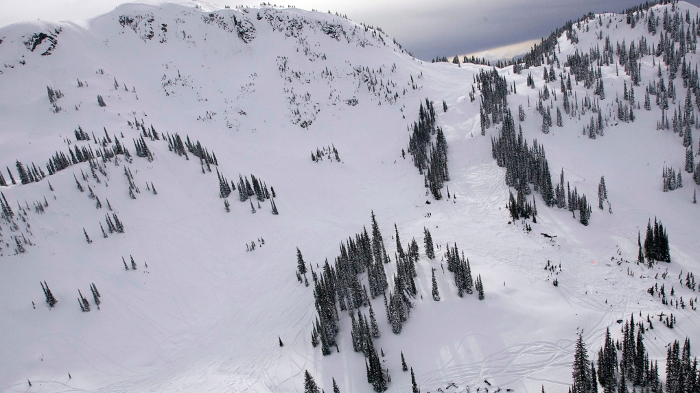 Avalanche in near Revelstoke kills skier