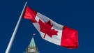 The Canadian flag is seen in this undated file photograph.