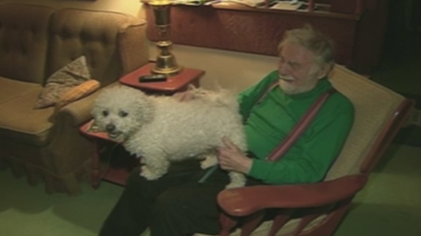 Goldie, a Bichon Shih-Tzu mix, was returned to his owner after going missing, on Feb. 12, 2011.