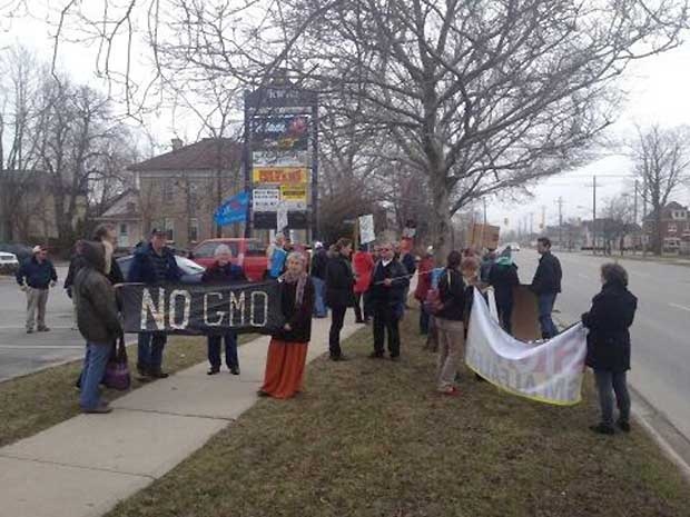 About 50 people gathered to protest the introduction of genetically-modified alfalfa in Goderich, Ont. on Tuesday, April 9, 2013. (Scott Miller / CTV London)