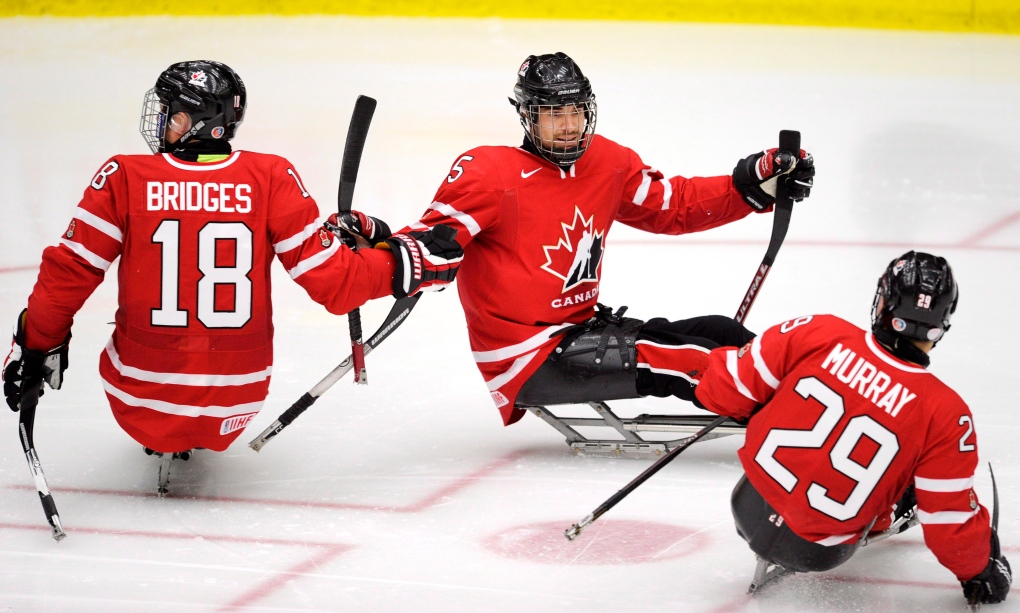 Canada unbeaten at world sledge hockey event 