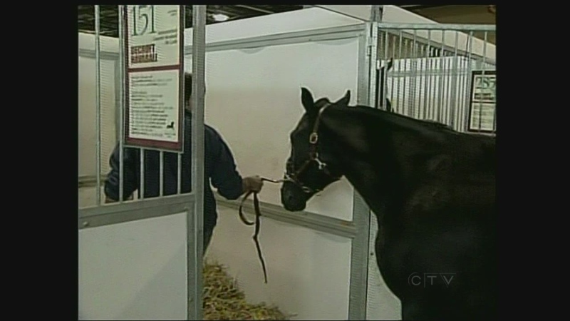 The horse-racing season at the Hiawatha Horse Park in Sarnia, Ont. is still in limbo, Wednesday, April 17, 2013.