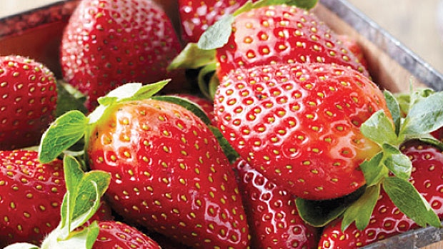Strawberries, Generic