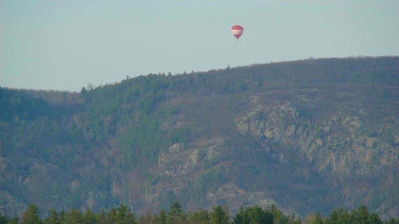 Four people have been rescued by police after their hot air balloon crashed in a wooded area last night.